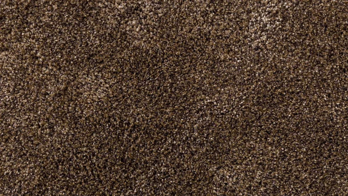 brown-carpet-2022-12-15-22-02-12-utc